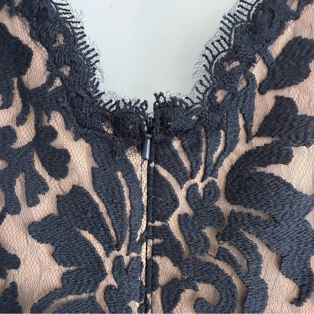 Tadashi Shoji Lace & Tulle Sheath Dress 6 Navy Nude Cocktail Party Wedding Guest - Picture 10 of 16
